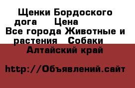 Щенки Бордоского дога.  › Цена ­ 30 000 - Все города Животные и растения » Собаки   . Алтайский край